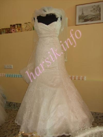 Wedding dress 24867067