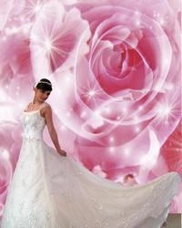 Wedding dress 43668752